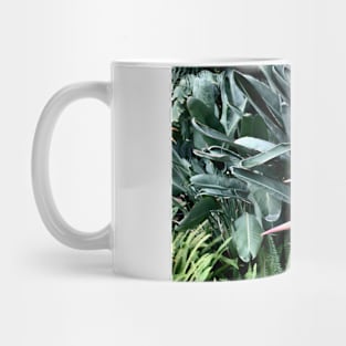 Bird of Paradise Mug